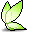 Green Nymph Wing