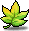 Pale Maple Leaf