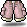 Pink Camping Shorts