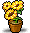 Potted Sunflower