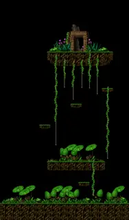 Damp Forest