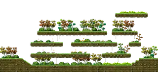 Forest West of Henesys