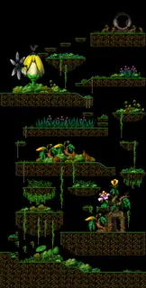 Swampy Land in a Deep Forest
