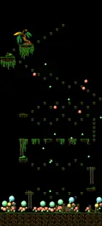 The Deep Forest of Patience (Step 2)