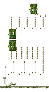 The Forest of Patience (Step 3)